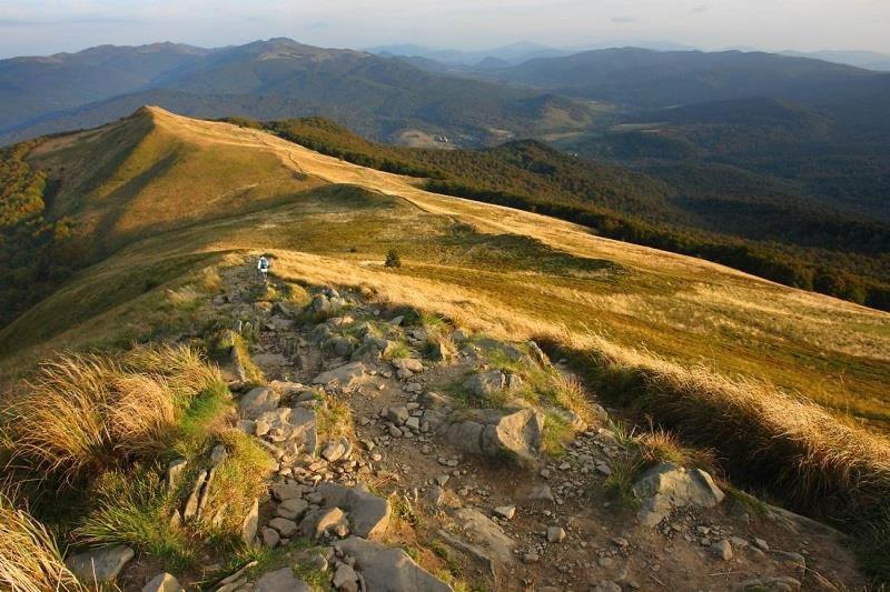 Zacisze Drwala Vendégház Lutowiska Kültér fotó